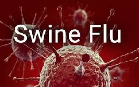 ସ୍ୱାଇନ୍ ଫ୍ଲୁ ପାଇଁ ସତର୍କ ରୁହନ୍ତୁ:  ଲକ୍ଷଣ, ଉପଚାର