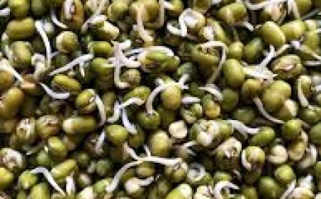 ଚର୍ମକୁ  ଚିକ୍କଣ କରେ ଗଜା ମୁଗ