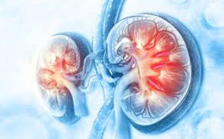 କିଡ୍‌ନୀ ଖରାପ ହେଲେ   ଦେଖାଦିଏ ଏସବୁ ଲକ୍ଷଣ !