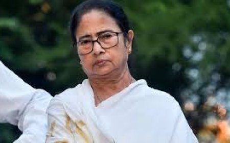 ଟେନଶନରେ ସରକାର ପୁଣି ଆଳୁ ଅଟକାଇଲେ ଦିଦି