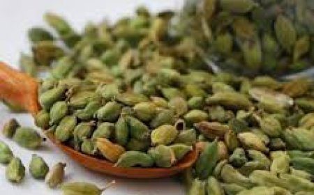 ସ୍ବାସ୍ଥ୍ୟ ସମସ୍ୟା ଦୂର କରେ ଗୁଜୁରାତି