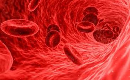 ରକ୍ତହୀନତା ପାଇଁ ଖୁବ୍ ଲାଭକାରୀ