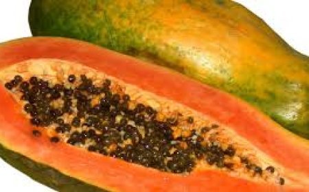 ଅମୃତଭଣ୍ଡାର ସ୍ବାସ୍ଥ୍ୟପ୍ରଦ ଗୁଣ