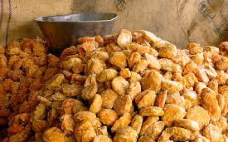 ଏହି ପାଣି  ସ୍ବାଭାବିକ କରେ ଫୁସ୍‌ଫୁସ୍‌ର କାର୍ଯ୍ୟ