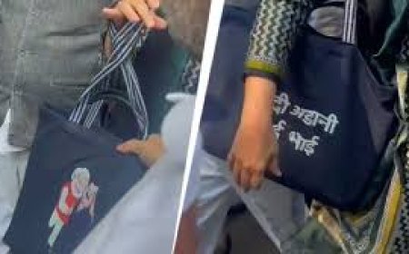 ଆଦାନୀ-ମୋଦି ଭାଇ ଭାଇ ଲେଖାଥିବା ବ୍ୟାଗ୍ ଧରି ସଂସଦରେ ପହଞ୍ଚିଲେ ପ୍ରିୟଙ୍କା