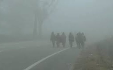 କୁହୁଡ଼ି ପାଇଁ ୟେଲୋ ଓ୍ବାର୍ନିଂ: ରାଜ୍ୟରେ ଶୀତ ଲହରୀ ଜାରି