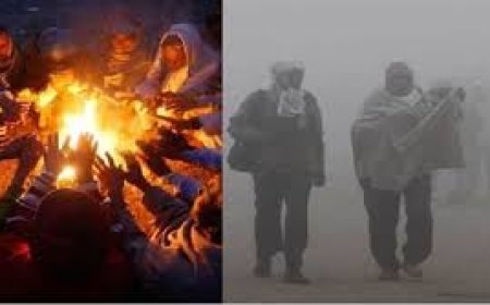 ଆଜିଠୁ ୪ଦିନ ହାଲୁକା ବର୍ଷା: ଓଡ଼ିଶାରେ ହାଡ଼ଭଙ୍ଗା ଶୀତ