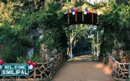 ଶିମିଳିପାଳରେ ପାରଦ ୧ ଡିଗ୍ରୀକୁ ଖସିଲା