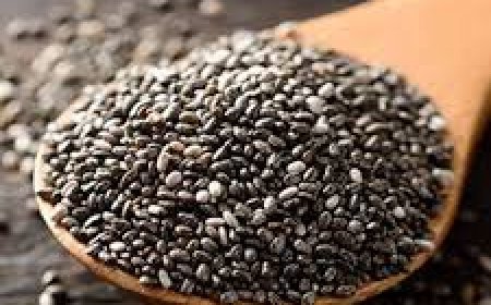 ଚିଆ ସିଡ୍ସର ଉପକାରିତା