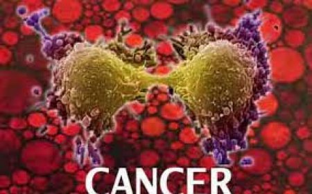 କର୍କଟ ହେଲେ  ଦେଖାଯାଏ ଏହି ସବୁ ଲକ୍ଷଣ