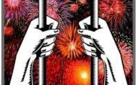 ନୂଆ ବର୍ଷ ପାର୍ଟି ପରେ  ଆଦୌ କରନ୍ତୁ ନାହିଁ ଏହା, ହୋଇପାରେ ଜେଲ!