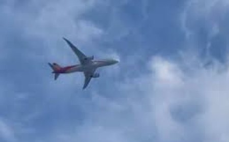 ଦକ୍ଷିଣ କୋରିଆ ବିମାନ କ୍ରାସ : ସମସ୍ତ ଯାତ୍ରୀ ମୃତ