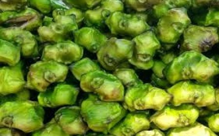 ନିୟମିତ ବ୍ରେକଫାଷ୍ଟରେ କରନ୍ତୁ ପାଣି ସିଙ୍ଗଡ଼ା