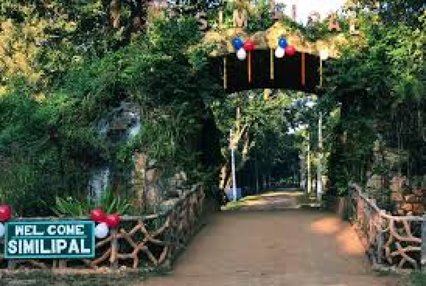 ଶିମିଳିପାଳରେ ପାରଦ ୧ ଡିଗ୍ରୀକୁ ଖସିଲା