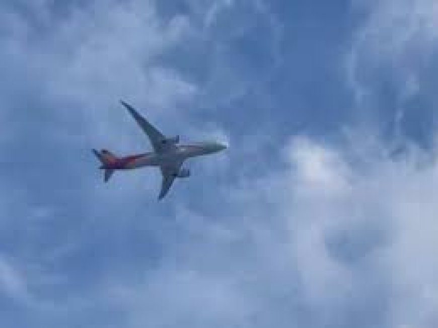 ଦକ୍ଷିଣ କୋରିଆ ବିମାନ କ୍ରାସ : ସମସ୍ତ ଯାତ୍ରୀ ମୃତ