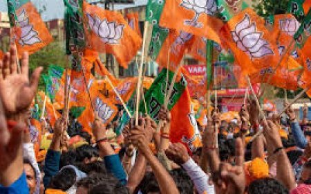 ବିଜେପି ପାଇଁ ୨୦୨୫ ଉଭୟ ସମ୍ମାନ ଓ ଆହ୍ୱାନର ବର୍ଷ ହେବ