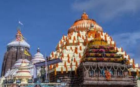 ଶ୍ରୀମନ୍ଦିର ଉପରେ ଡ୍ରୋନ୍ ଉଡ଼ିଲା