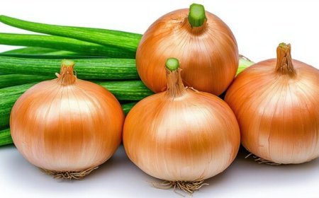 ପିଆଜ ଖାଇବା ଦ୍ଵାରା ମିଳିଥାଏ ଏହି ସବୁ ଫାଇଦା