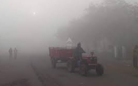 ଆସନ୍ତା ୨ ଦିନ ହେବ ଘନ କୁହୁଡି : ପାଣିପାଗ କେନ୍ଦ୍ର