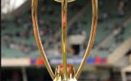 ଅଷ୍ଟ୍ରେଲିଆ ହାତରେ ବର୍ଡର-ଗାଭାସ୍କର ଟ୍ରଫି