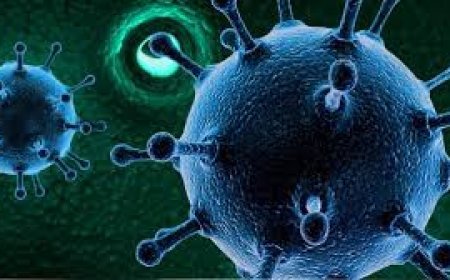 HMPV ଭାଇରସ୍‌କୁ ନେଇ ଭାରତ ସତର୍କ