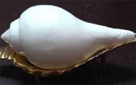 ହିନ୍ଦୁ ଧର୍ମରେ ଶଙ୍ଖର ମାହାତ୍ମ୍ୟ