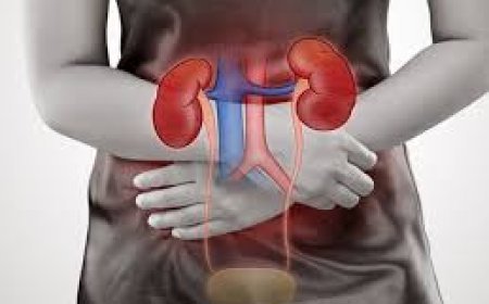 କିଡ୍‌ନୀ ଫେଲ୍‌ ହୋଇଥିଲେ ଦେଖାଦିଏ ଏସବୁ ଲକ୍ଷଣ