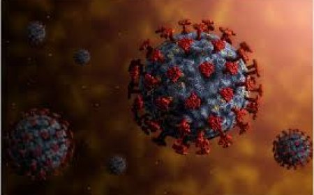 ଦେଶରେ ପୁଣି ବାହାରିଲେ ଏଚ୍‌ଏମ୍‌ପିଭି ପଜିଟିଭ୍ : ନାଗପୁରରେ ୨ ପଜିଟିଭ୍