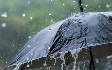 ଅବପାତ ଦୁର୍ବଳ:  ପାଗ ରହିବ ଶୁଖିଲା