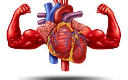 ହୃତ୍‌ପିଣ୍ଡ ପାଇଁ ଲାଲ୍‌ ଫଳ :ରଖିଥାଏ  ସୁସ୍ଥ