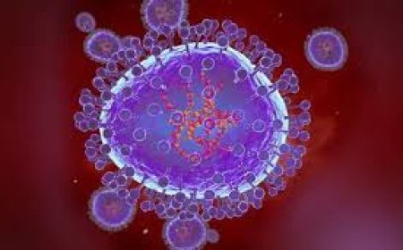 ଏଚଏମପିଭି କିପରି ବ୍ୟାପେ ଓ କ’ଣ ରହିଛି ଲକ୍ଷଣ ?