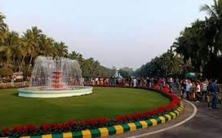 ୧୩ରୁ ଖୋଲିବ ରାଜଭବନ ଉଦ୍ୟାନ