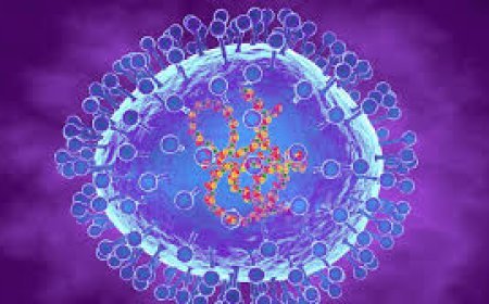 ଖୁସି ଖବର: କମିଲା HMPV ସଂକ୍ରମଣ