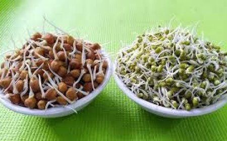 ଗଜା ମୁଗର ଫାଇଦା; ହୃଦୟକୁ ରଖେ ସୁସ୍ଥ