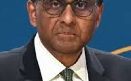 ସିଙ୍ଗାପୁର ରାଷ୍ଟ୍ରପତି ବୁଲିଲେ  ପଟ୍ଟଚିତ୍ର ଗାଁ