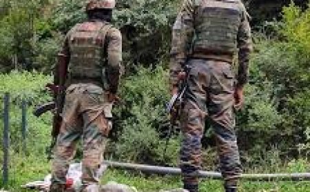 ରୁଷିଆ ସେନାରେ ୧୨ ଭାରତୀୟଙ୍କ ମୃତ୍ୟୁ, ୧୬ ନିଖୋଜ