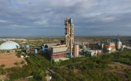 ଡାଲମିଆର କେ.ପି. ପାଓ୍ବାରପ୍ଲାଣ୍ଟ ବନ୍ଦ ନିର୍ଦ୍ଦେଶ