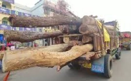 ପୁରୀରେ ପହଞ୍ଚିଲା ରଥକାଠ