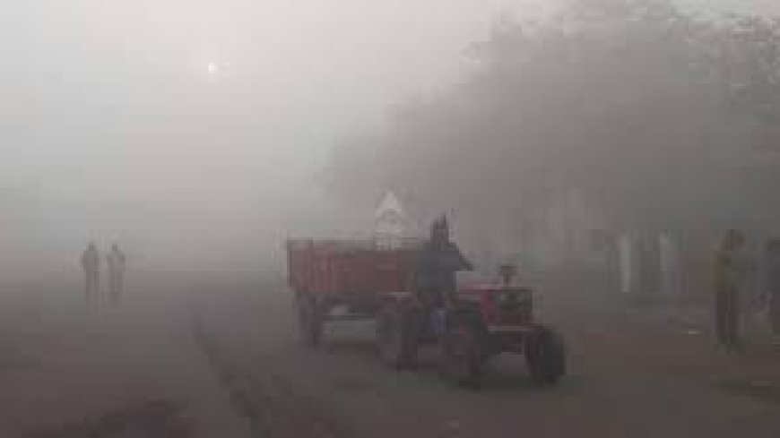 ଆସନ୍ତା ୨ ଦିନ ହେବ ଘନ କୁହୁଡି : ପାଣିପାଗ କେନ୍ଦ୍ର