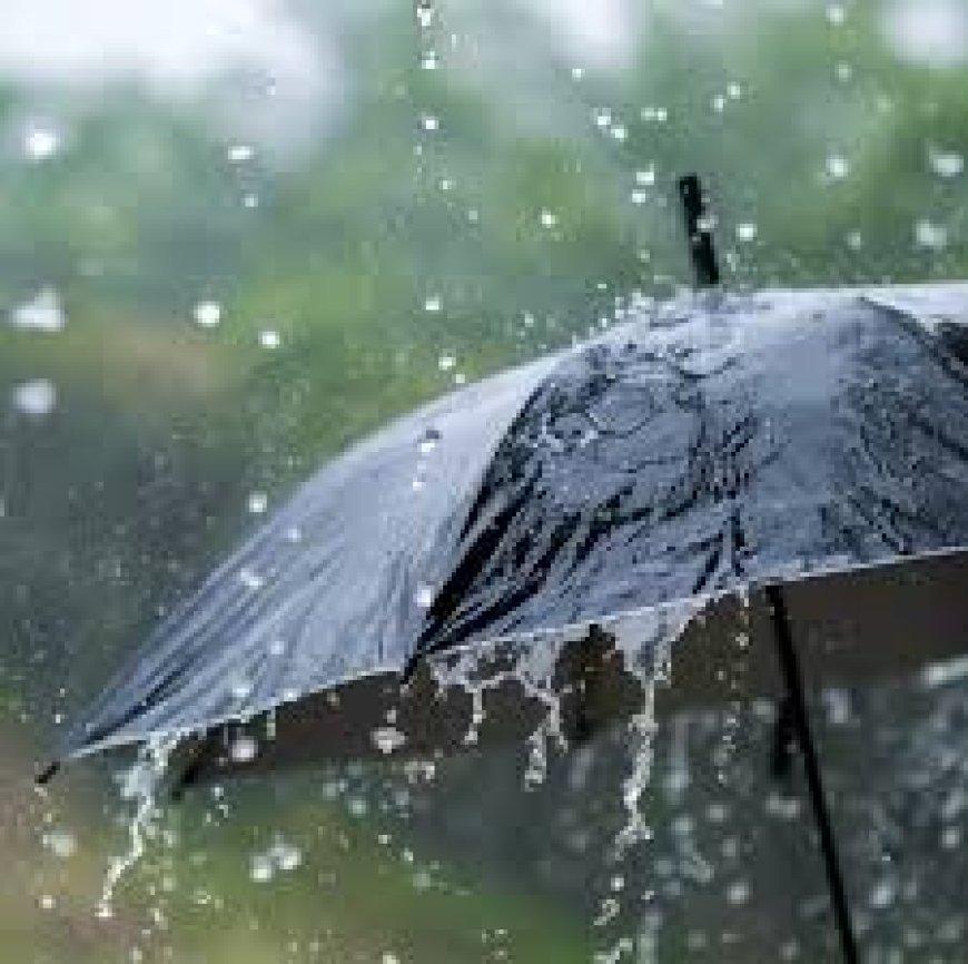 ଅବପାତ ଦୁର୍ବଳ: ପାଗ ରହିବ ଶୁଖିଲା