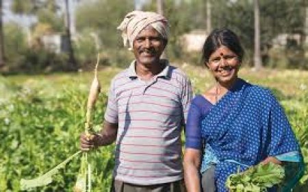 କୃଷକଙ୍କୁ ମିଳିବ ୫ଲକ୍ଷ ଟଙ୍କା, ଜାଣନ୍ତୁ କେମିତି କରିବେ ଆବେଦନ?