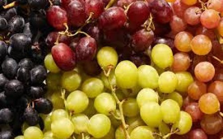 ଅଙ୍ଗୁର ଦୃଢ଼ କରେ ରୋଗ ପ୍ରତିରୋଧକ ଶକ୍ତି