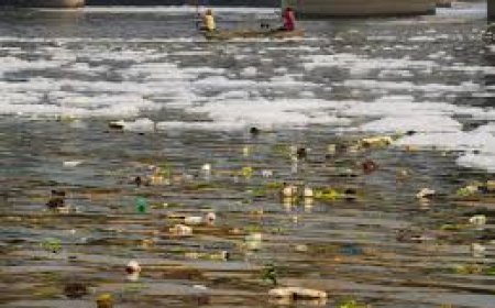 ଦିଲ୍ଲୀ ନିର୍ବାଚନରେ  ଯମୁନା ନଦୀ ପାଲଟିଛି ମୁଖ୍ୟ ପ୍ରସଙ୍ଗ