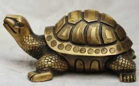 ପିତ୍ତଳ କଇଁଛ ଘରେ ରହିଲେ କ’ଣ ହେବ?