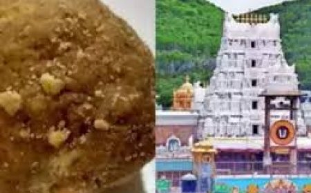 ତିରୁପତି ଲଡୁ ବିବାଦ; ୪ ଗିରଫ