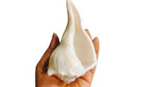 ଶଙ୍ଖ  ଦେଇଥାଏ ବହୁ ସମସ୍ୟାରୁ ମୁକ୍ତି