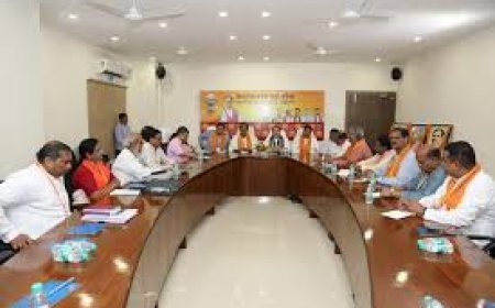 ବିଜେପି କୋର କମିଟି ବୈଠକରେ ମୁଖ୍ୟମନ୍ତ୍ରୀ