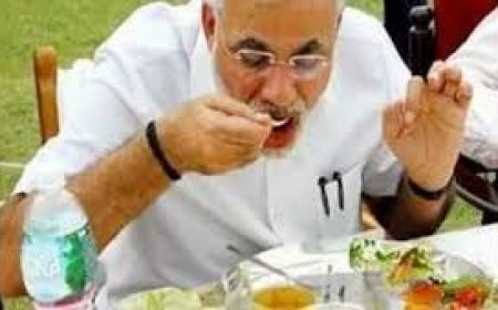 ମୋଦୀଙ୍କ ଖାଇବାର ଦାମ୍ କେତେ, ଜାଣନ୍ତୁ