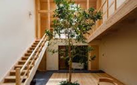 ଅଗଣାରେ କେଉଁ ବୃକ୍ଷ ଲଗାଇଲେ ମିଳେ ଶୁଭଫଳ