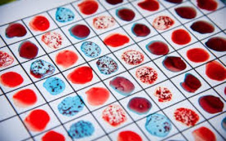 ବ୍ଲଡ୍‌ ଗ୍ରୁପ୍‌ରୁ ଜାଣନ୍ତୁ ଆପଣଙ୍କ ବ୍ୟକ୍ତିତ୍ୱ